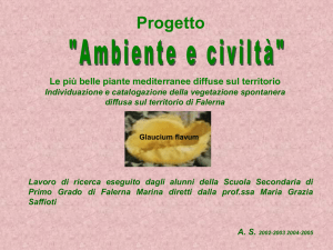 Presentazione di PowerPoint