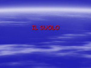 il suolo - Direzione Didattica "S.Traina"