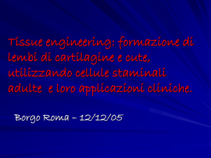 Diapositiva 1 - Cell Factory Mantova