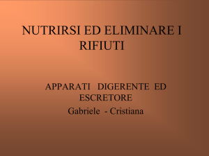nutrirsi ed eliminare i rifiuti - Istituto comprensivo Carpi Nord