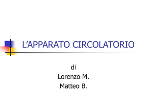 La circolazione