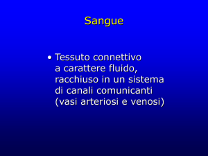 Sangue