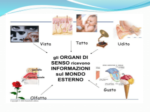 la recezione e il controllo - Di Giacomo