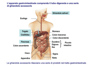 Epatite = Infiammazione del fegato causata da diversi fattori Alcohol