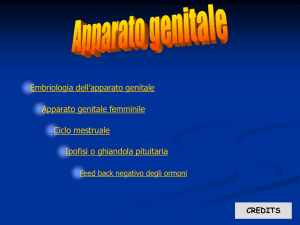 Diapositiva 1 - Classi3webios