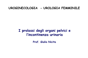 il sostegno della vagina e degli organi contenuti nel piccolo