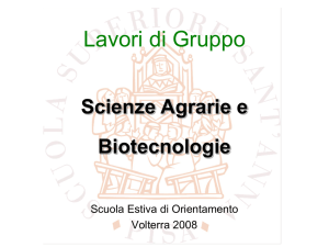 Sfida intellettuale  - Scuola Superiore Sant`Anna