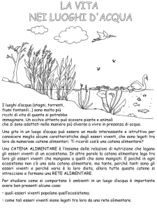 Presentazione di PowerPoint