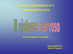 Diapositiva 1 - "Santa Lucia" di Verona