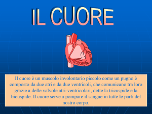Presentazione standard di PowerPoint