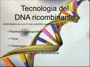Diapositiva 1