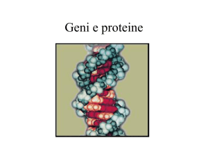 Genetics
