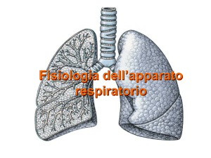 Respirazione 2