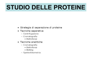 metodi di precipitazione delle proteine