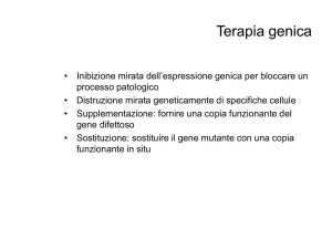 penetranza - vincenzonigro.it