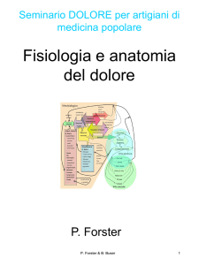 Fisiologia del dolore