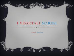 i vegetali marini