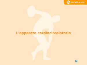 L`apparato cardiocircolatorio