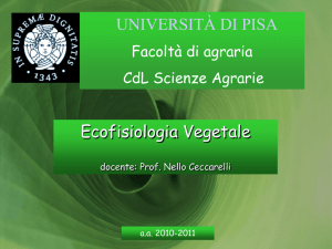 Nessun titolo diapositiva