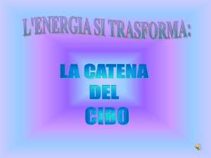 Presentazione di PowerPoint