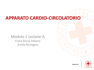 Diapositiva 1