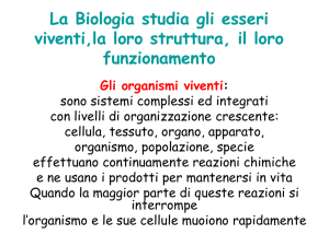 la-biologia1 - Liceo Dante Alighieri