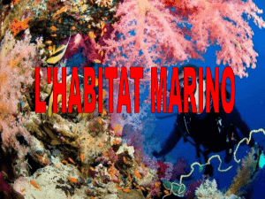 l`habitat marino