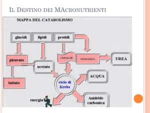 Le Diete tra miti e verità