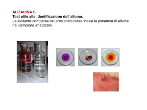 ALIZARINA S Test utile alla identificazione dell`allume La evidente