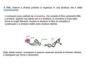 Diapositiva 1 - Portale di Giuseppina D`Alisa