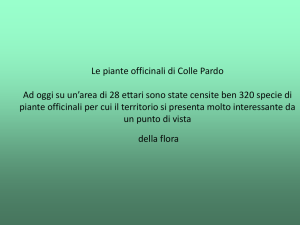 Piante officinali di Colle Pardo
