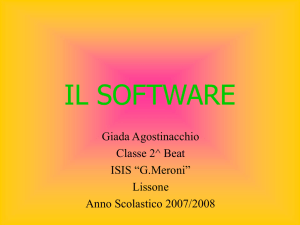 il software