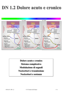 PowerPoint Presentation - Dolore acuto e cronico
