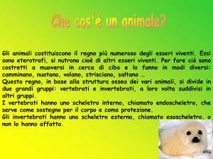 un sistema muscolare.