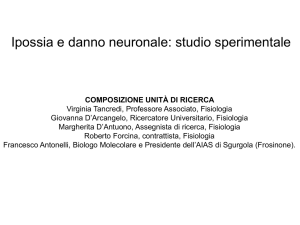 Diapositiva 1 - AIAS Sgurgola