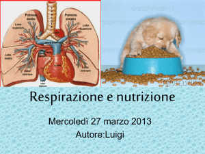 Respirazione e nutrizioneLUIGI