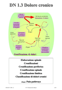 Cronificazioni