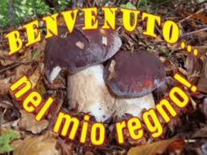 Diapositiva 1 - Istituto Comprensivo Manziana