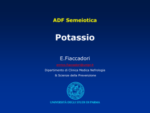 Presentazione di PowerPoint