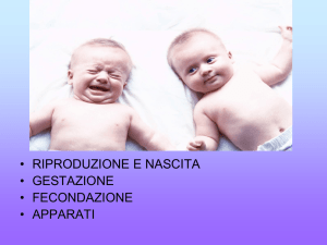 DAYANA MARTA VALENTINA ALICE NASIMA