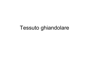 Tessuto ghiandolare