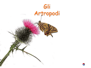Artropodi