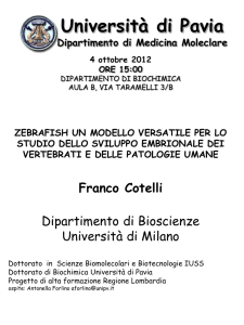 Diapositiva 1 - Dottorato in SCIENZE BIOMEDICHE