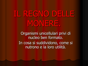 Il regno delle monere.