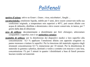 Polifenoli - Infermieristica Vicenza AA 2010