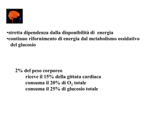 Presentazione di PowerPoint