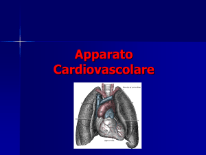 Apparato Cardiovascolare