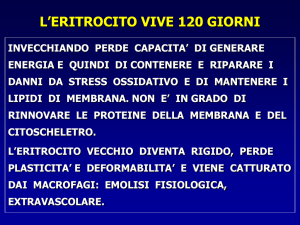 Anemie emolitiche - Istituto di Ematologia di Bologna