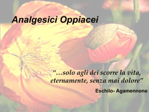 Diapositiva 1 - Controcampus