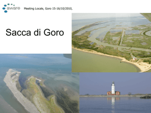Sacca di Goro